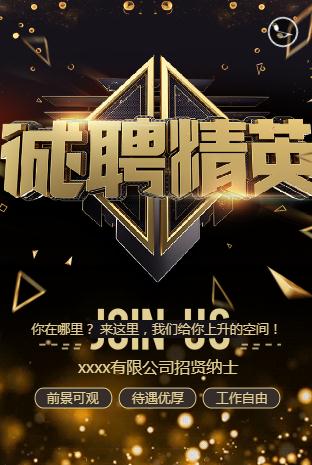 诚聘精英公司招聘校园招聘学校招聘金