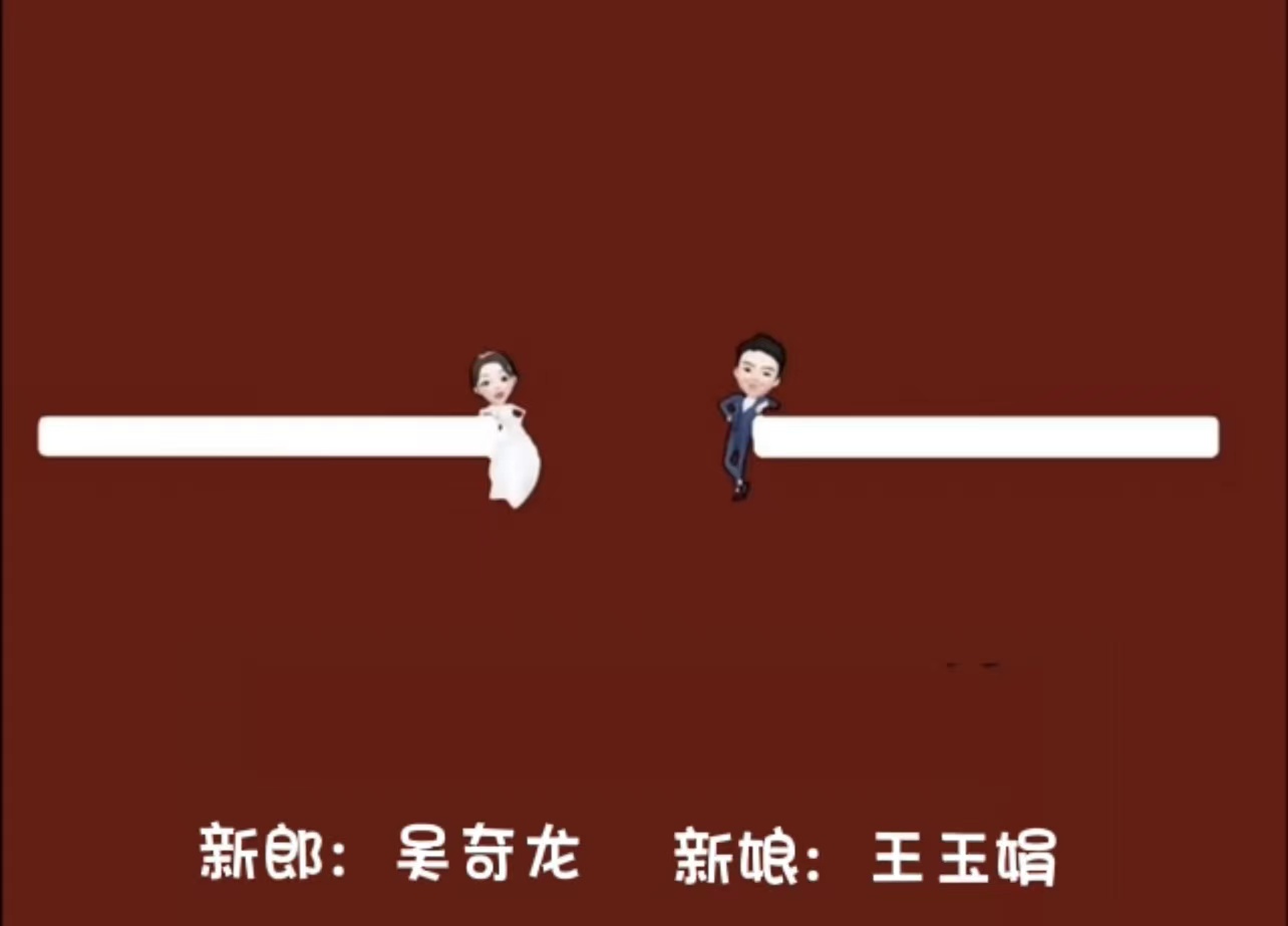 02小红书崽崽（4张）婚礼开场视频