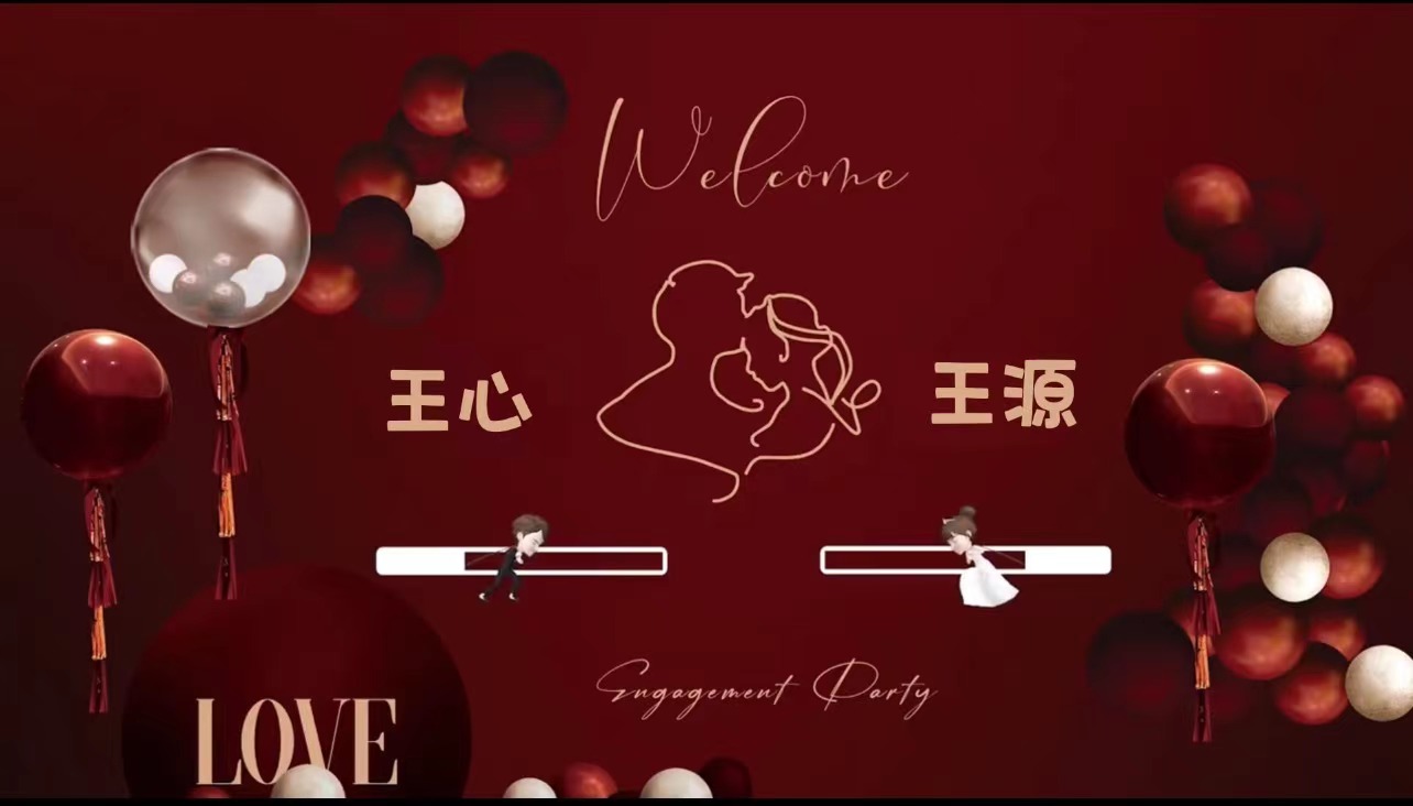 12小红书崽崽（20张）婚礼开场视频