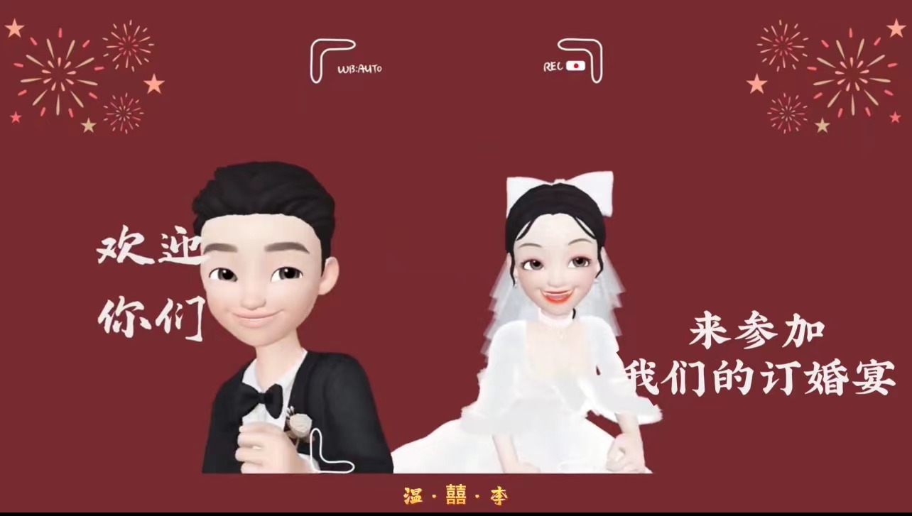 05崽崽订婚宴(31张）视频