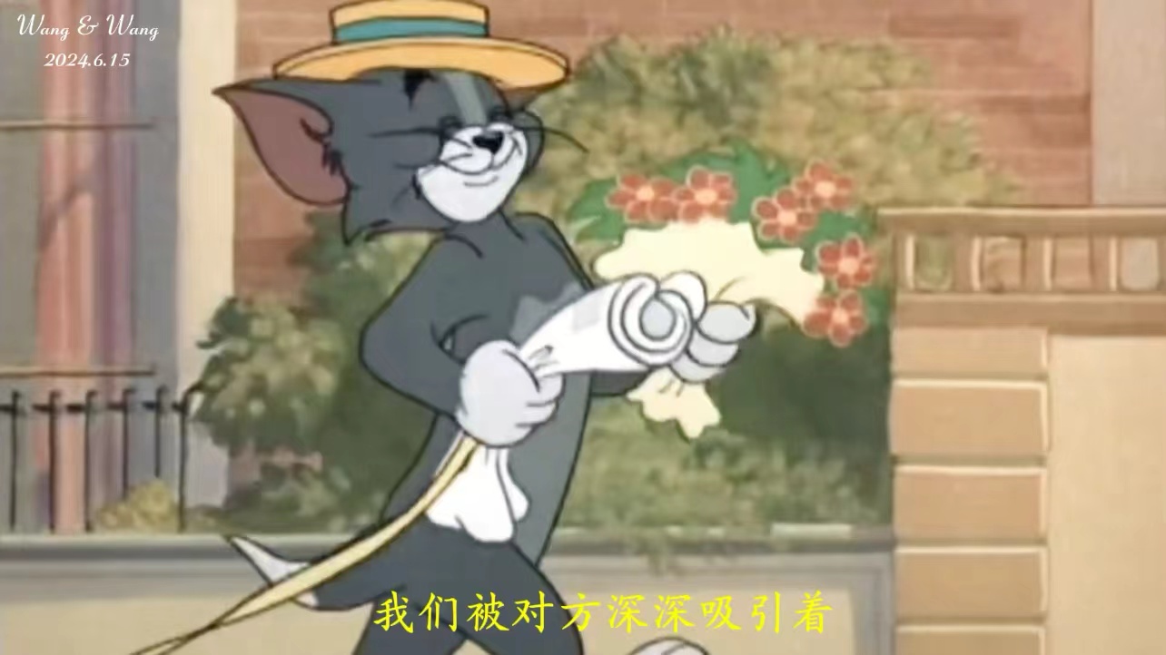 猫和老鼠（31张）婚礼相册视频